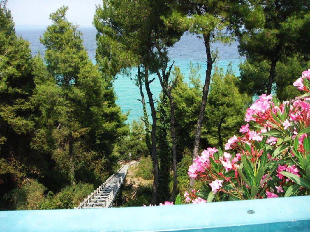 Porto Thea Alexandra Shared Pool Villa, Afytos Exterior photo